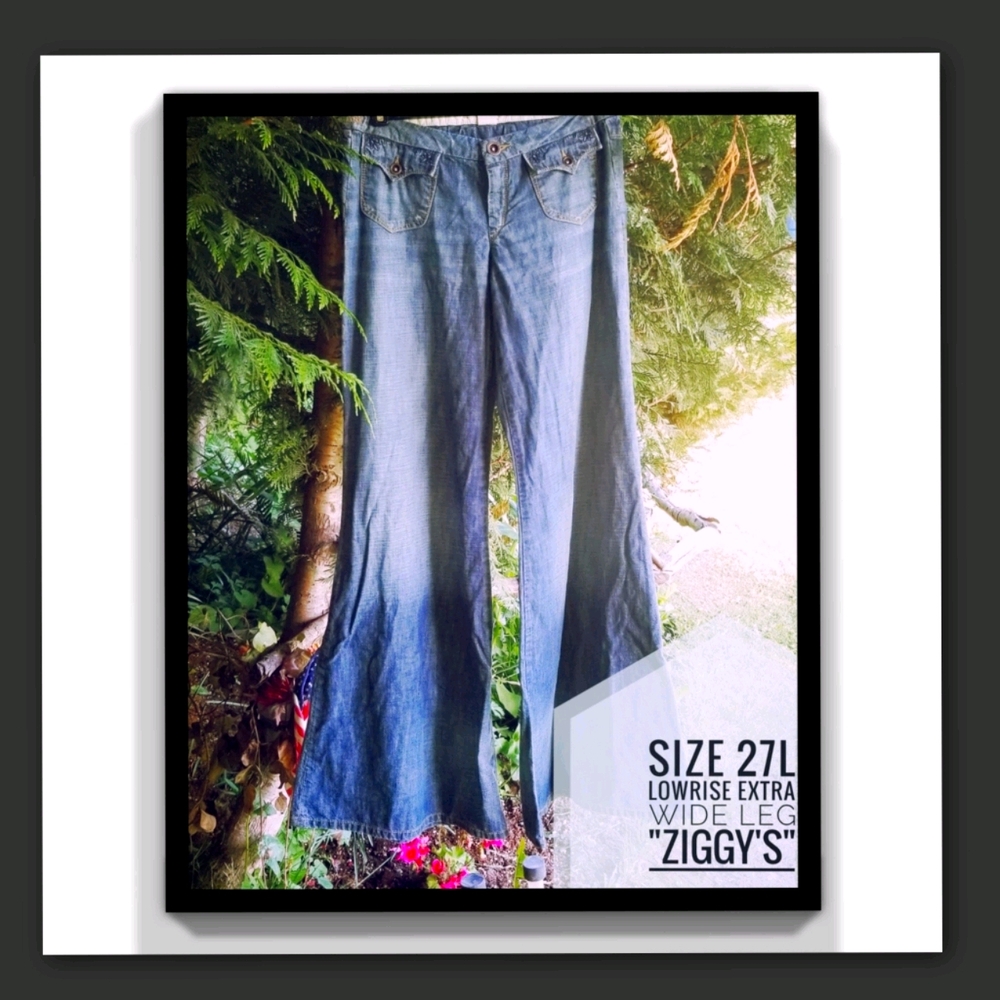 Size 27R - Silver Brand "Ziggy" Wide Leg